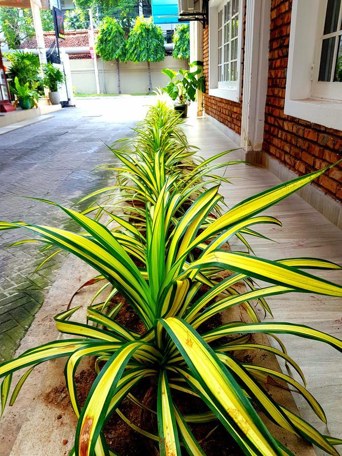 Oasis Beach Hotel Negombo Exterior foto